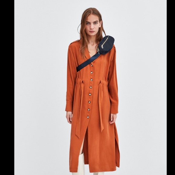 Zara Dress - Picture 4 of 12